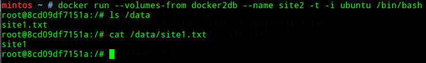 Docker数据卷管理